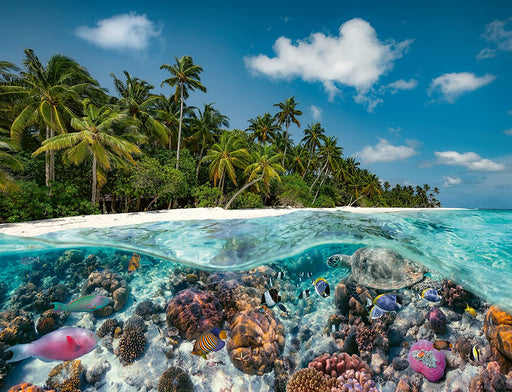 A Dive in the Maldives Jigsaw Puzzle (2000 Pieces)