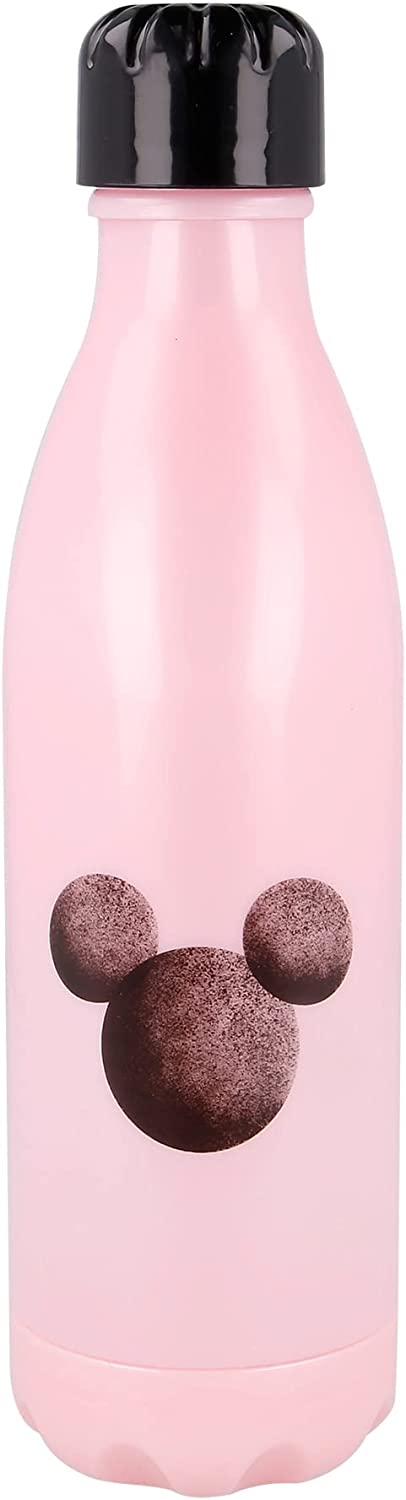 Disney Mickey & Minnie Mouse Sunset Aluminum Water Bottle with Carabiner  Hook