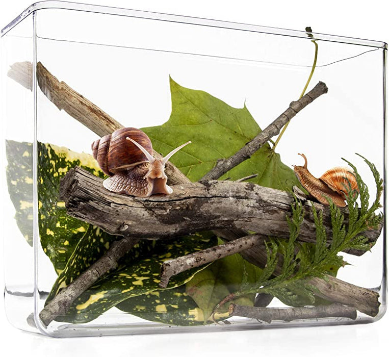 My Living World: Snail World